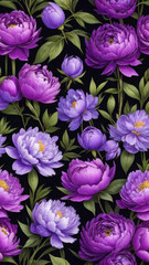 Obraz premium Beautiful peonies on a black background.