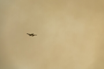 Firefighting plane flying into a large smoke cloud caused by a forest fire