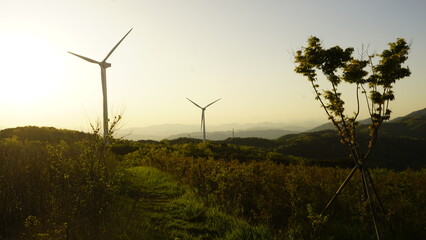 풍력발전, 풍력발전기, 바람개비