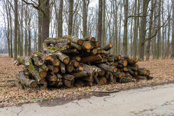 Cut wood by the meter is stacked and ready for heating for the winter. © Roman Bjuty