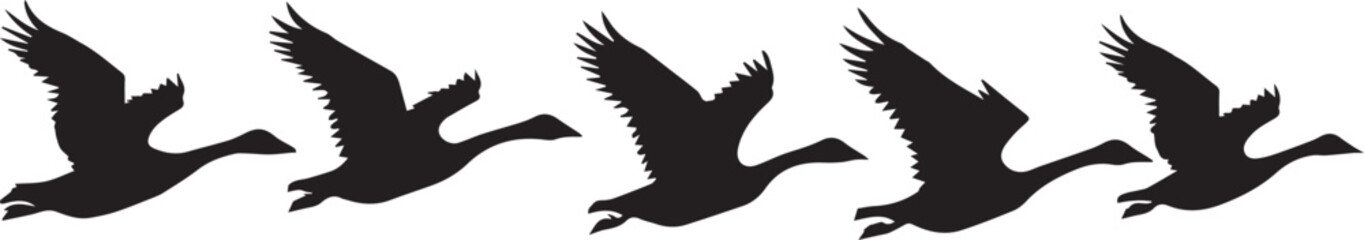 Silhouette vector of geese in flight © Nazia
