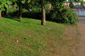 Park during the summer. Helsinki, Finland.