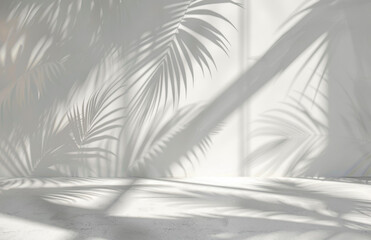 Obraz premium Abstract background with palm shadows on a white wall, a minimalistic summer scene for product presentation in a studio. Background mockup, template