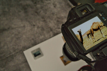 slides are digitized with a camera