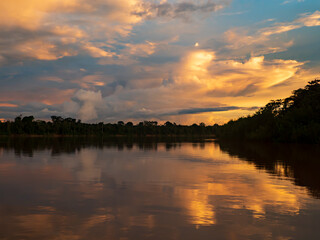 Obraz premium Amazonia - wall of green tropical forest of the Amazon jungle, green hell of the Amazonia. Selva on the border of Brazil and Peru. Yavari river in Javari Valley, (Valle del Yavarí) South America.