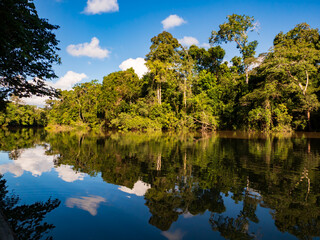 Obraz premium Amazonia
