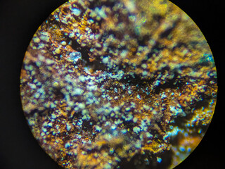 Microscopic View of Metallic Corrosion Patterns
