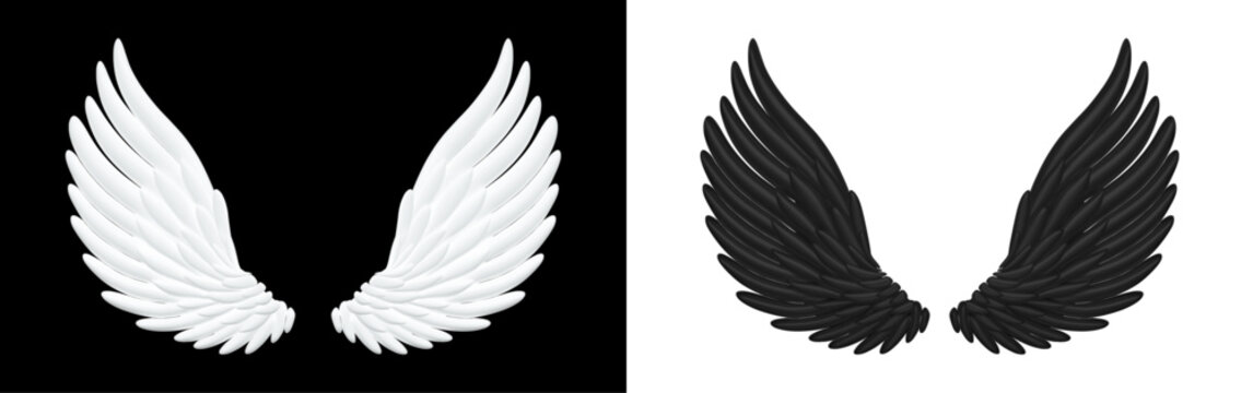 3d realistic detailed black and white angel wings. Stock vector illustration on isolated background.	
