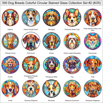 Colorful Dog Breeds Circular Stained Glass Dogs Bundle Collection Set 2 of 500 Dog Faces Part 8