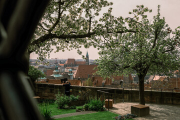 View of Nuremberg's old town, Germany.