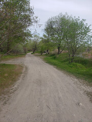 road in the countryside