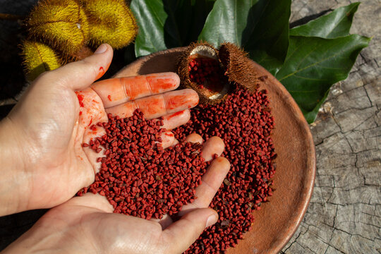 Urucum