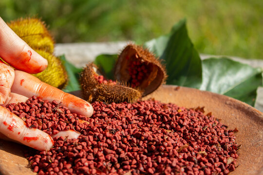 Urucum