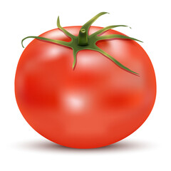 Vector drawing. Ripe, juicy, red tomato, with on Isolated white background with shadow. Nutrition concept. Can be used for advertising, print, banner, poster, packaging. Eps 10.eb