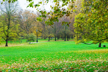 London, UK - Trees in a park in autumn