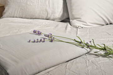 lavender in bed