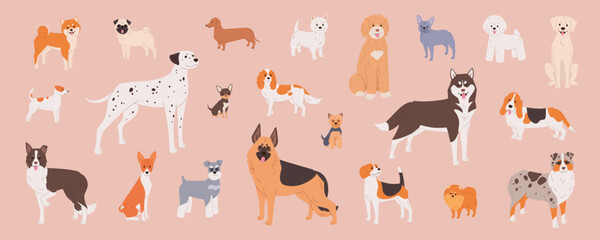 Dog breeds set. Cute flat illustration in cartoon style on pink background. Border collie, dachshund, french bulldog, labradoodle and other purebred pets in vector