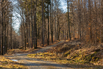 Fototapeta premium Long mountain trail at small massif with beautiful views around at morning