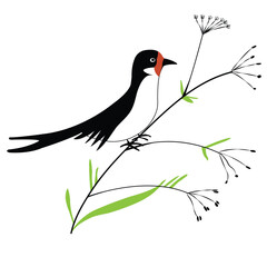 Cute Barn Swallow sitting on a twig