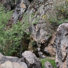 rock in the mountains