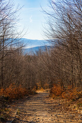 Fototapeta premium Long mountain trail at small massif with beautiful views around at morning
