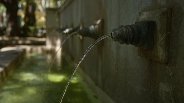 Water pouring from decorative fountain spouts in an outdoor setting in palma, mallorca, with a stone wall in the background and green algae in the water basin