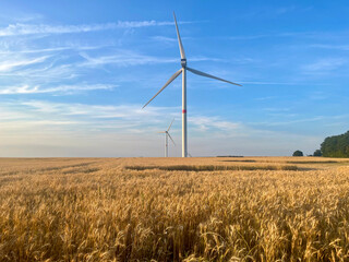 Wind turbines against the backdrop of sunset over a wheat field
