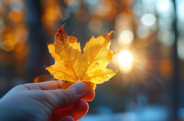A Hand Holding a Single Maple Leaf With a Heart-Shaped Hole During Golden Hour