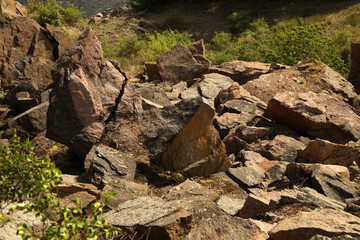 Summer landscape with rocks and trees