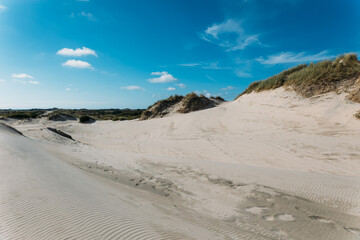 Moving sand dune Rabjerg Mile in northern Jytland, Denmark, Europe