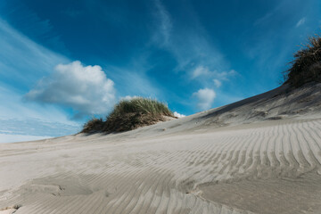 Moving sand dune Rabjerg Mile in northern Jytland, Denmark, Europe