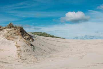 Moving sand dune Rabjerg Mile in northern Jytland, Denmark, Europe
