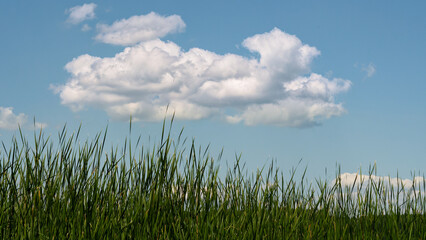 Wolke überm Vilzsee