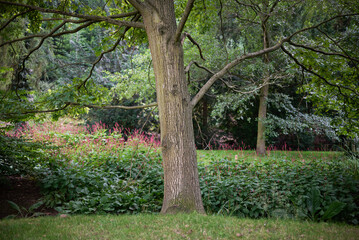 Stromovka Royal Game Reserve, large public park in the Bubenec district of Prague, capital of Czech...