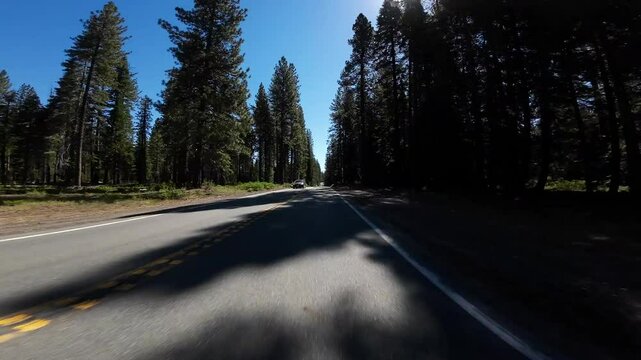 Volcanic Legacy Scenic Byway Shasta McCloud to Curtis 02 Front View Driving Plates California USA Ultra Wide