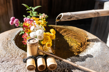 Chōzubachi with Flowers at a Japanese Temple