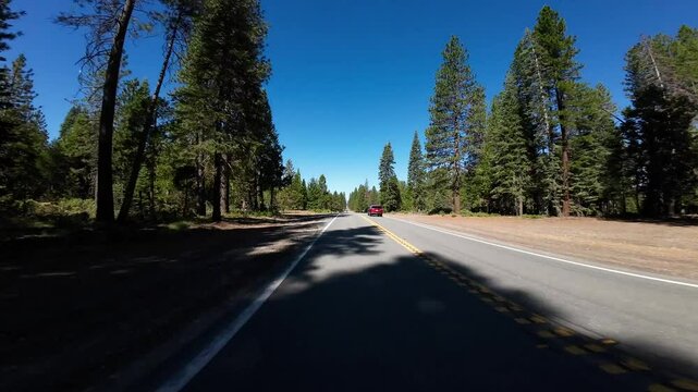 Volcanic Legacy Scenic Byway Shasta McCloud to Curtis 02 Rear View Driving Plates California USA Ultra Wide