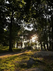 sunset in the park