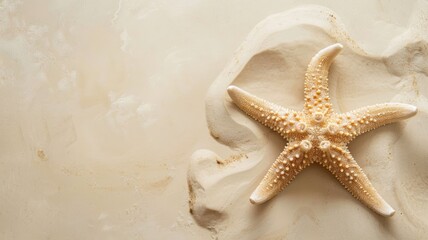 Starfish on sandy surface, detailed texture and natural patterns