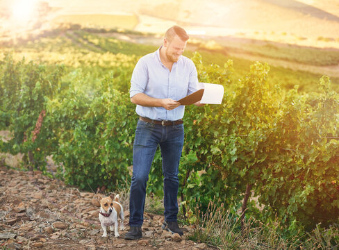 Farmer, man and clipboard with reading in nature, dog or vineyard for growth, development or progress in summer. Person, checklist and grapes with sustainability, plants and quality control in Spain