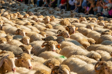 Traditional Redyk day celebration in Southern Poland