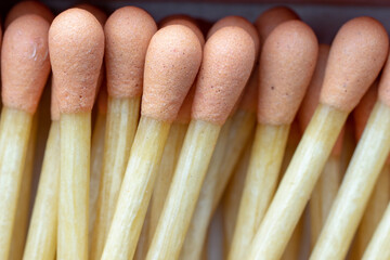 Set of wooden matchsticks with pink head or gunpowder