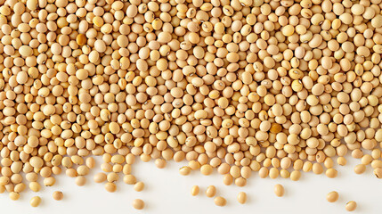 Fototapeta premium Soybean Isolated on White Background, Beverage Close-Up, Plant-Based Milk, Soy Drink, Smooth Texture, Dairy Alternative, Healthy Beverage, Clean and Simple Presentation