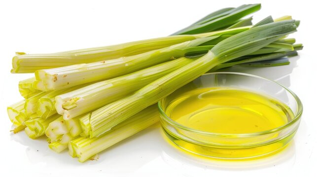 High-quality photo of Turkish Zeytinyagli Pirasa, leeks in olive oil, presented on a clean white background