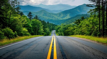 Fototapeta premium Long road heading into the Great Smoky Mountains National Park, Tennessee, with vibrant forest and sweeping mountain views