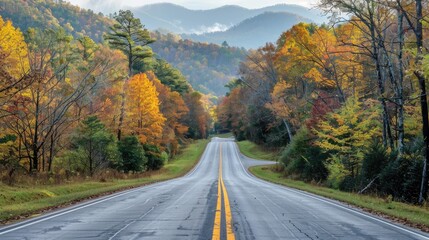 Fototapeta premium Road stretching towards the Great Smoky Mountains National Park, Tennessee, with a backdrop of dense woods and rolling hills