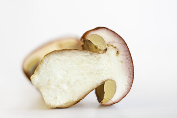 Sliced wild porcini mushroom isolated on white background. Clean slice of boletus fungi. Worm trace in the fungus flesh. Harvesting for winter. Preparing for drying. Selective focus. Copy space