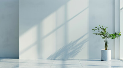 minimalistic plant in bright natural light on white background, with copy space for text