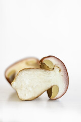 Wild porcini mushroom isolated on white background. Wormy sliced boletus fungi. Half of slice. Worm trace in the fungus flesh. Harvesting for winter. Preparing for drying. Selective focus. Copy space