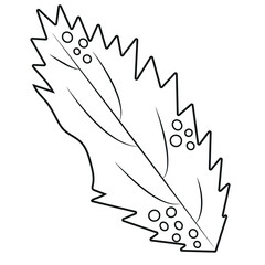 simple design of tree leaves in abstract style drawn with black outline, vector illustration